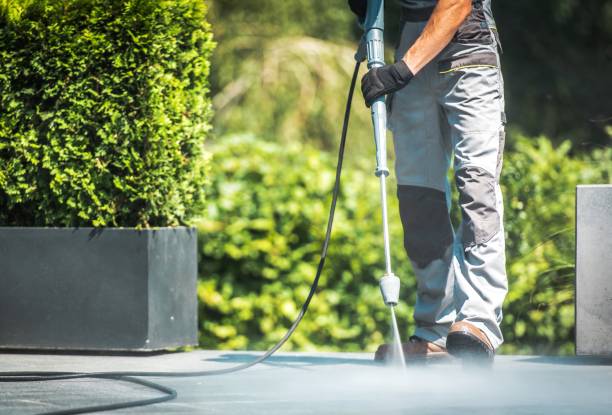 Animal Enclosure Cleaning in Weedsport, NY